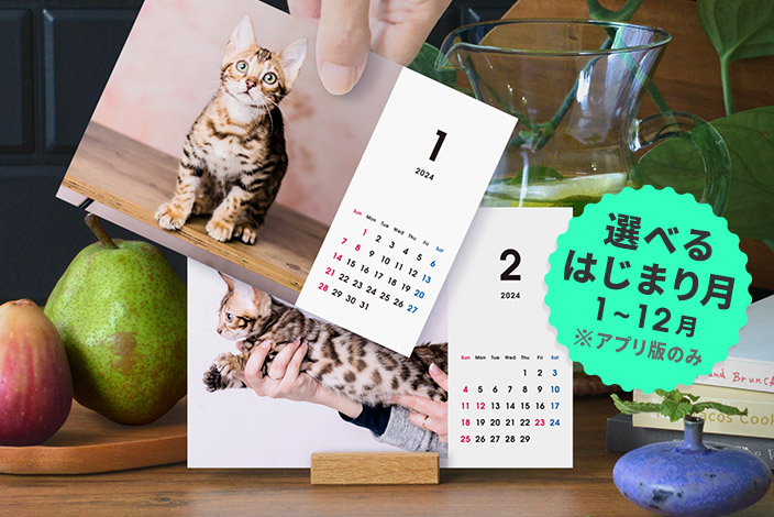 1年分12枚の写真で作る 卓上カレンダー2022 税込み・送料別 ¥500〜