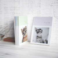写真いっぱい「ペット健康手帳」でペットの予定とおくすり記録を丸ごと管理