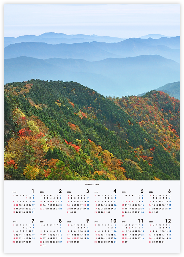 スタンダード 1：1 縦