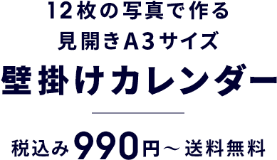 12枚の写真で作る見開きA3サイズ 壁掛けカレンダー 税込み990円〜 送料無料